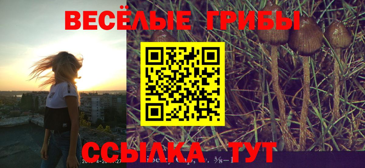 Галлюциногенные грибы ЛСД Ишим