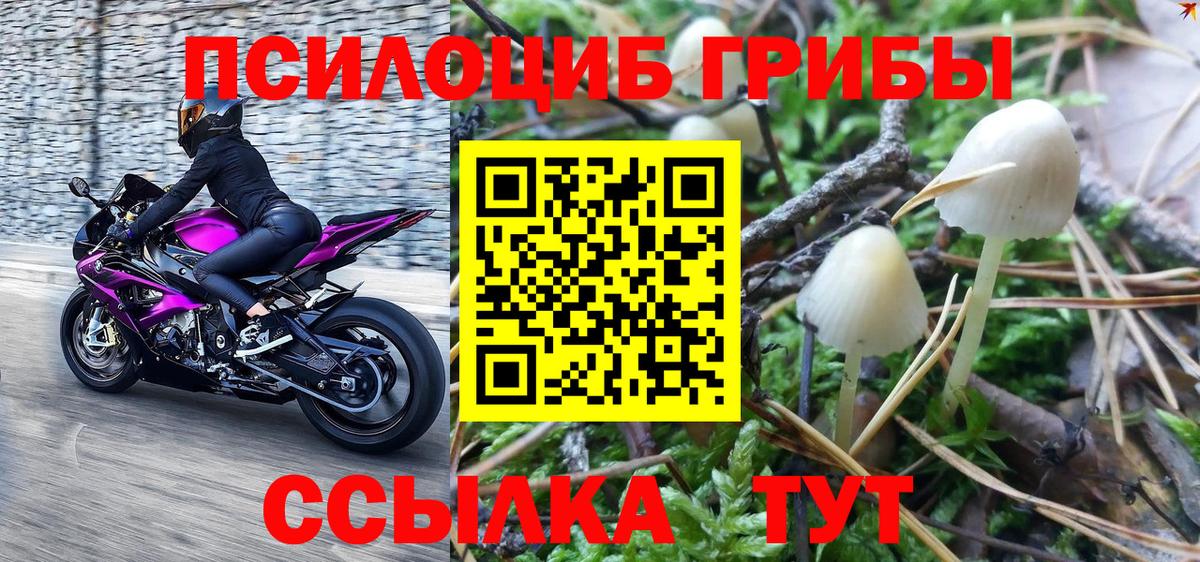 Галлюциногенные грибы GOLDEN TEACHER  Галлюциногенные грибы мухоморы  Вход с VPN  цены   Ишим 